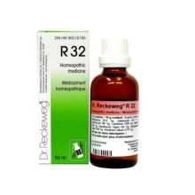 RECKEWEG R32 GOCCE 22 ML