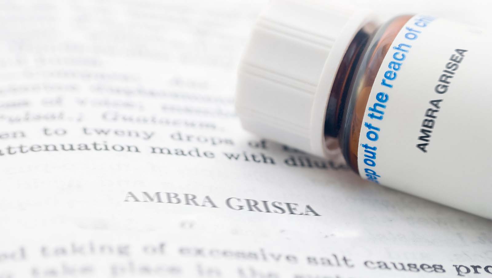 Ambra Grisea